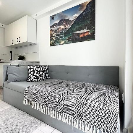 Apartament Goplanska Free Parking Self Check-In 24H 포즈난 외부 사진